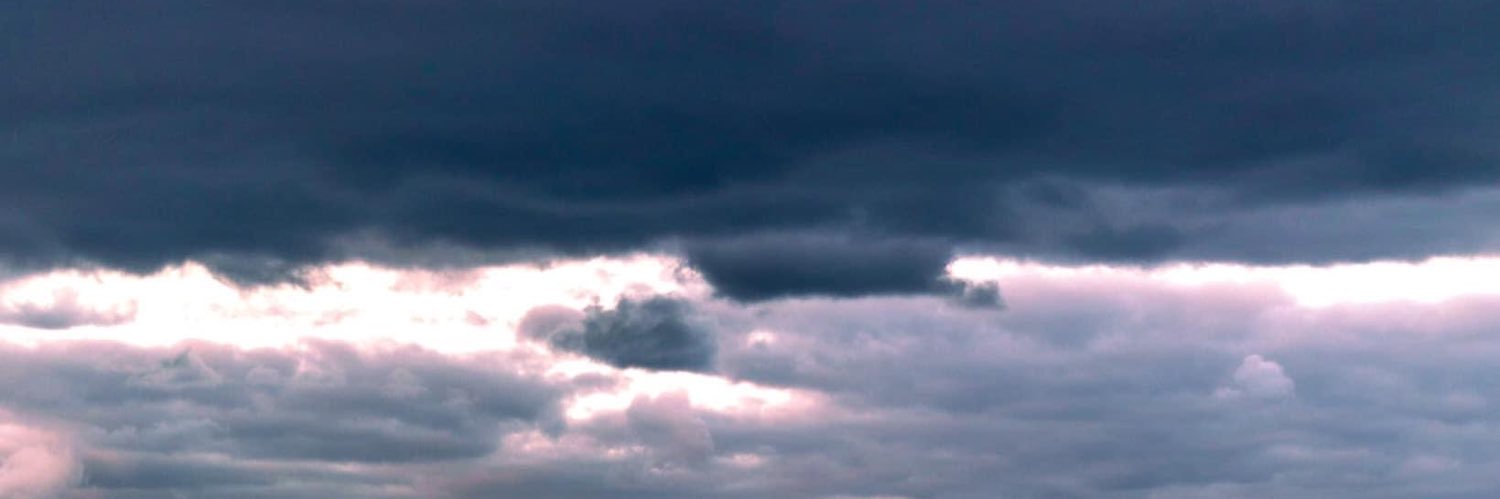 Michelle Pooley banner