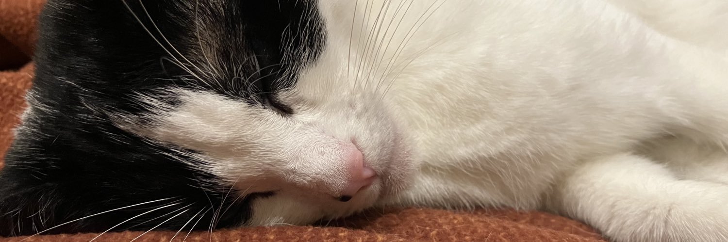 🇺🇦 Constance CraigSmith 🇮🇱 banner