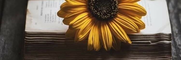 Olga_Toribio's profile banner image