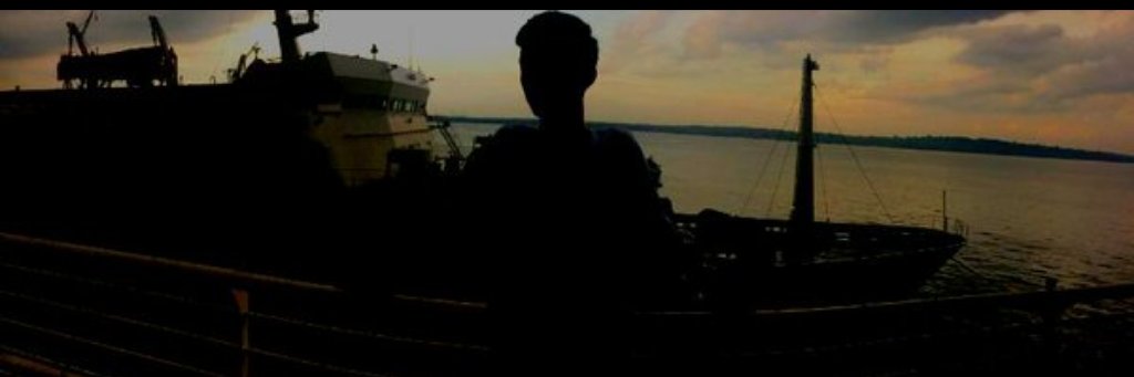 sandydtd's profile banner image