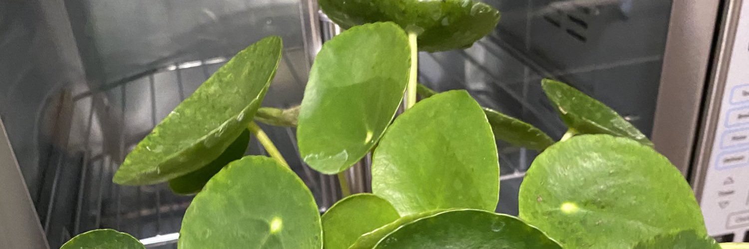 cindydreshfield's profile banner image