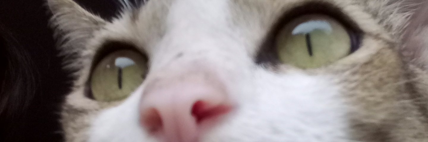 itspricilll's profile banner image