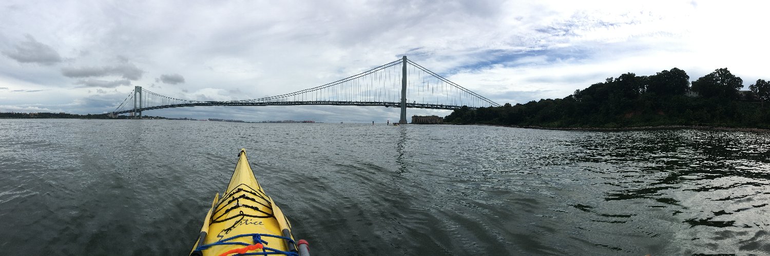 Davis Janowski banner