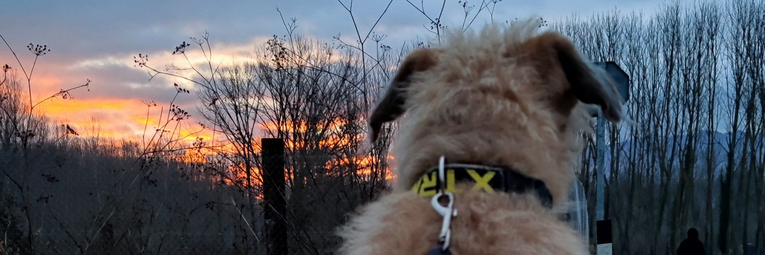 _debxra_'s profile banner image