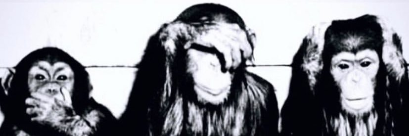 ___TGood's profile banner image