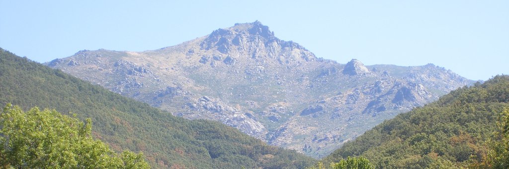 alopezhedoire's profile banner image