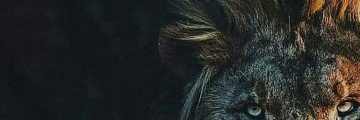 hjassor's profile banner image