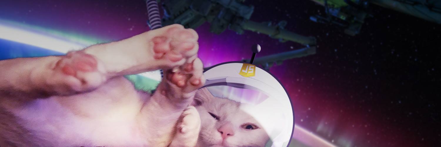 JavaScriptErika banner