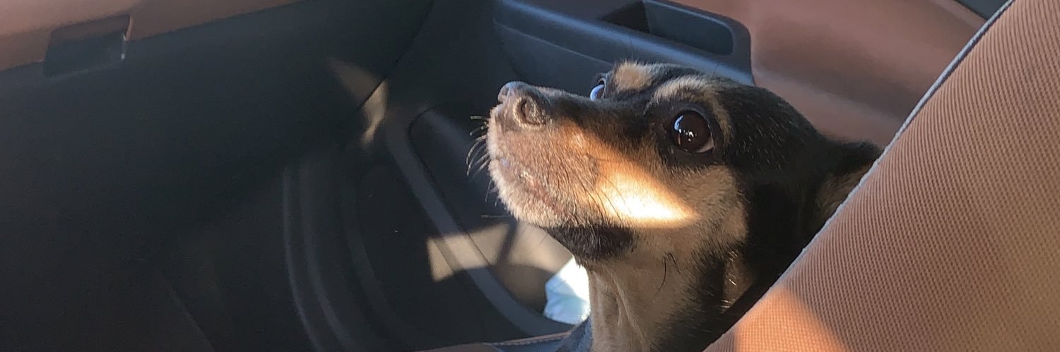 BrenerA1's profile banner image