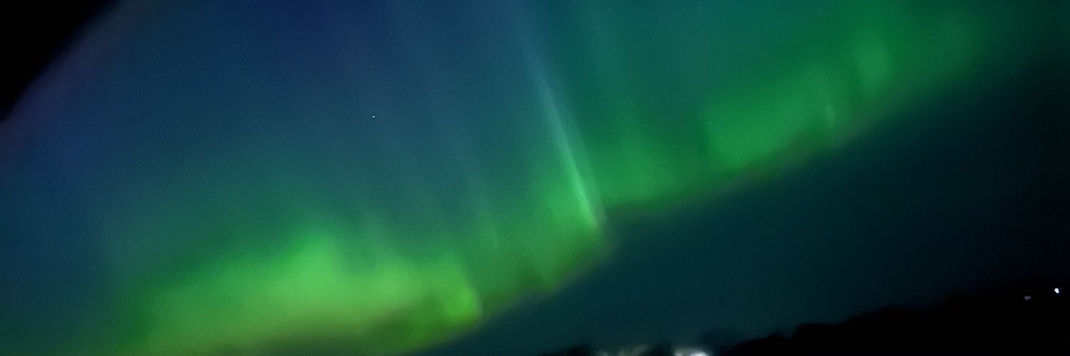 perkilicious's profile banner image