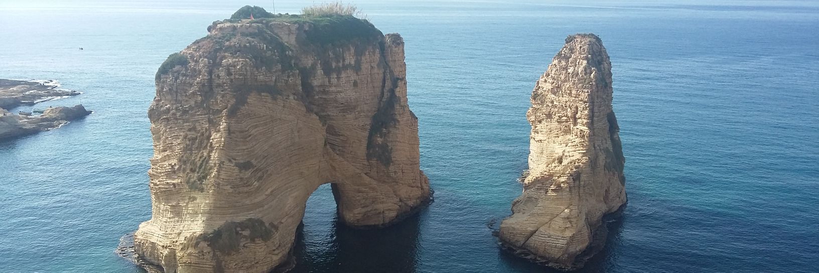 Giorgia Capacci banner