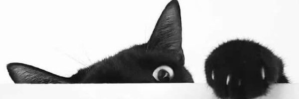 karthikzen Profile Banner