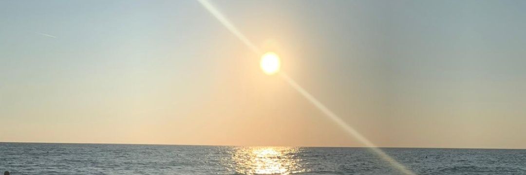 Stéphane ZUILY banner