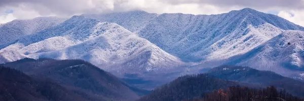 EmaSevier Profile Banner