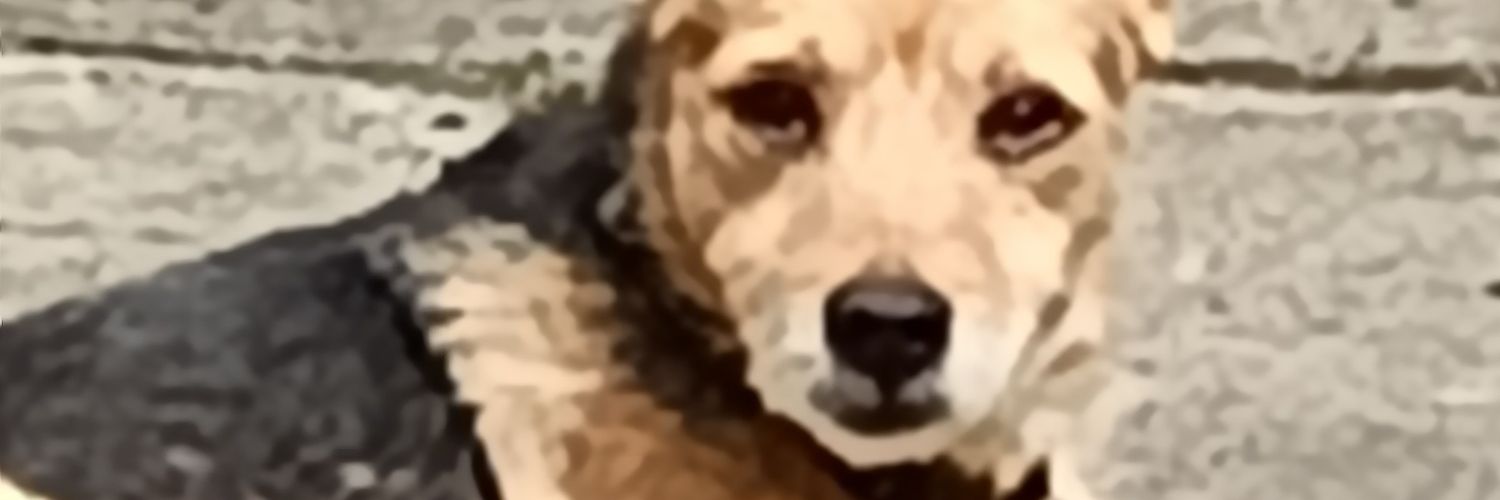 TheRealKristoby's profile banner image