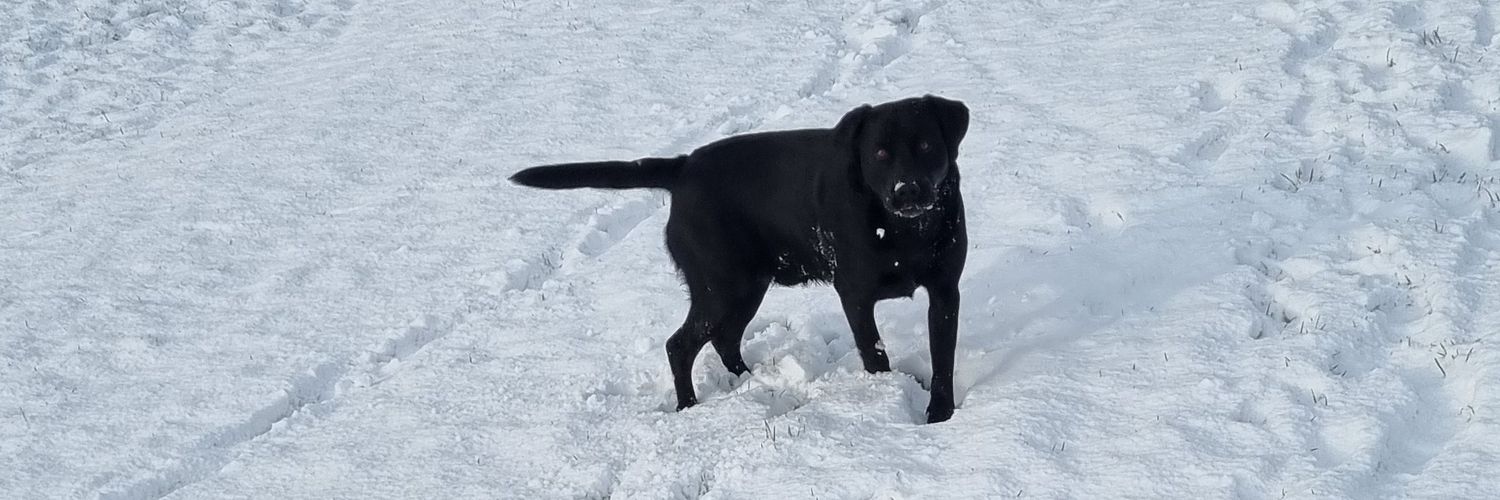 toebo65's profile banner image