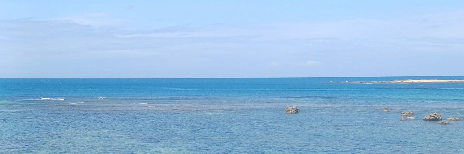 renate reinsve banner