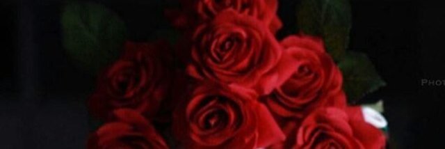 AA banner