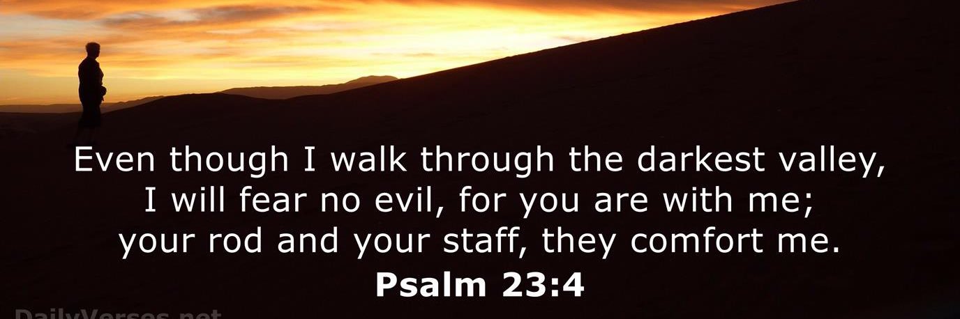 Scientific Cockroach banner