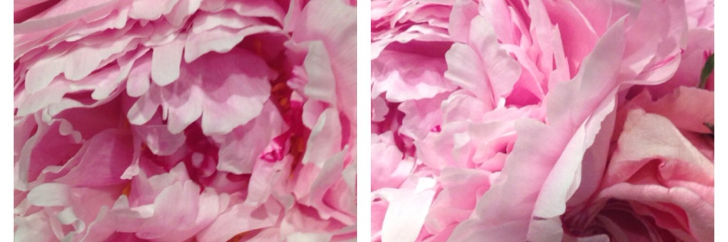itsNush's profile banner image