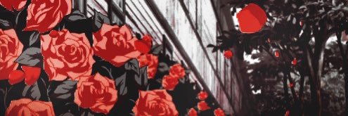 rmbdd3's profile banner image