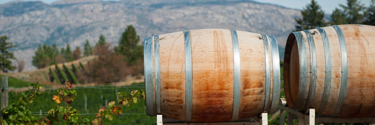 SumacRidgeWine's profile banner image