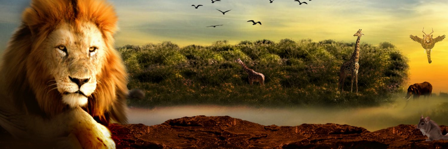prox4u's profile banner image