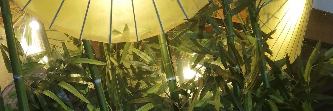 idaiouss's profile banner image