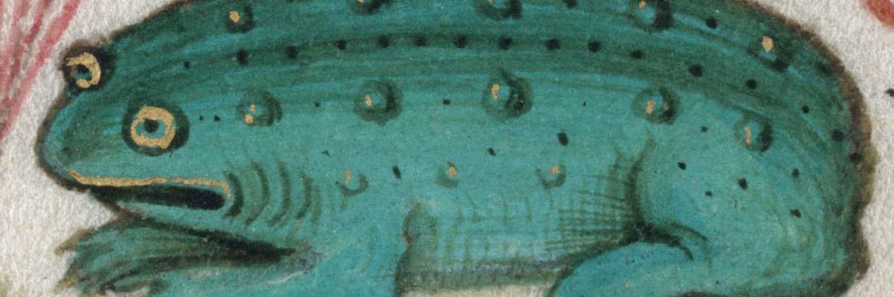 _cora_00's profile banner image