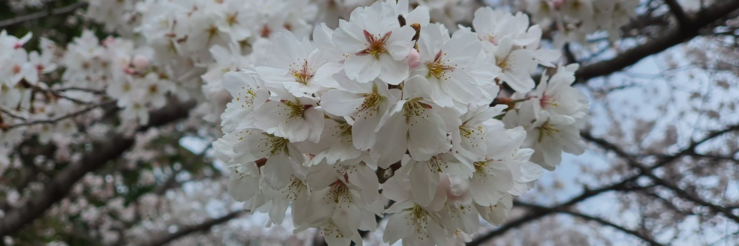 Rahul Dev Mukhopadhyay banner