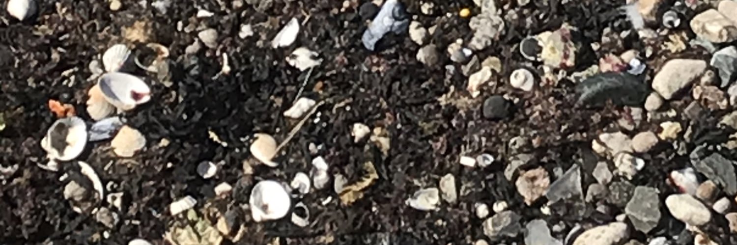 0nionbag's profile banner image