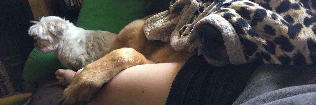 kYrStEn NiCoLe👑 banner