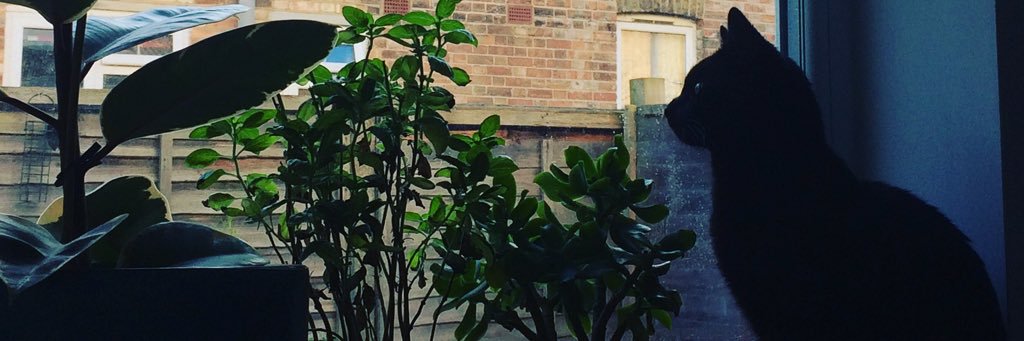 CaptainRo's profile banner image