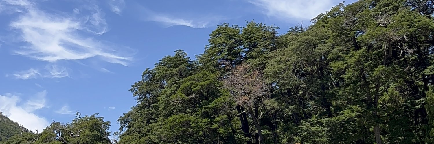 KarakasMateo's profile banner image