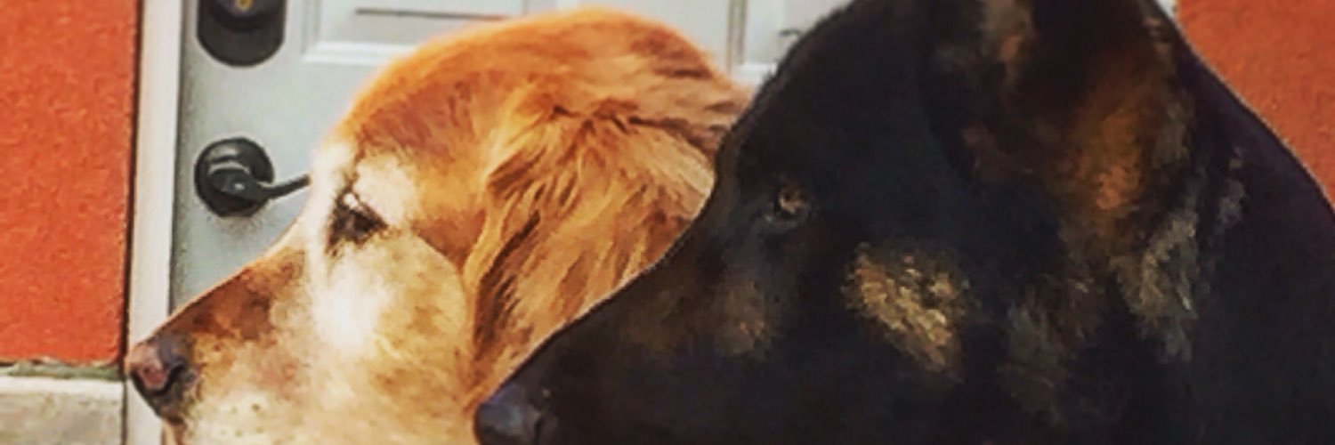 K_Flash1's profile banner image