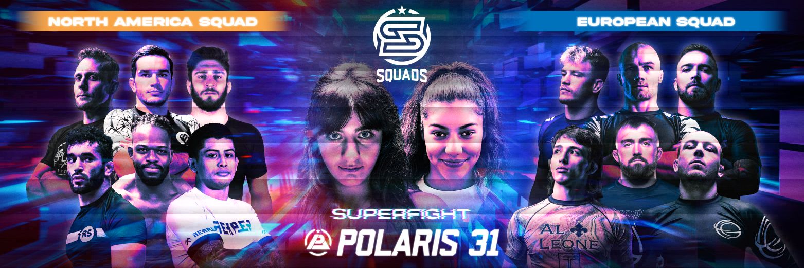 Polaris Professional banner