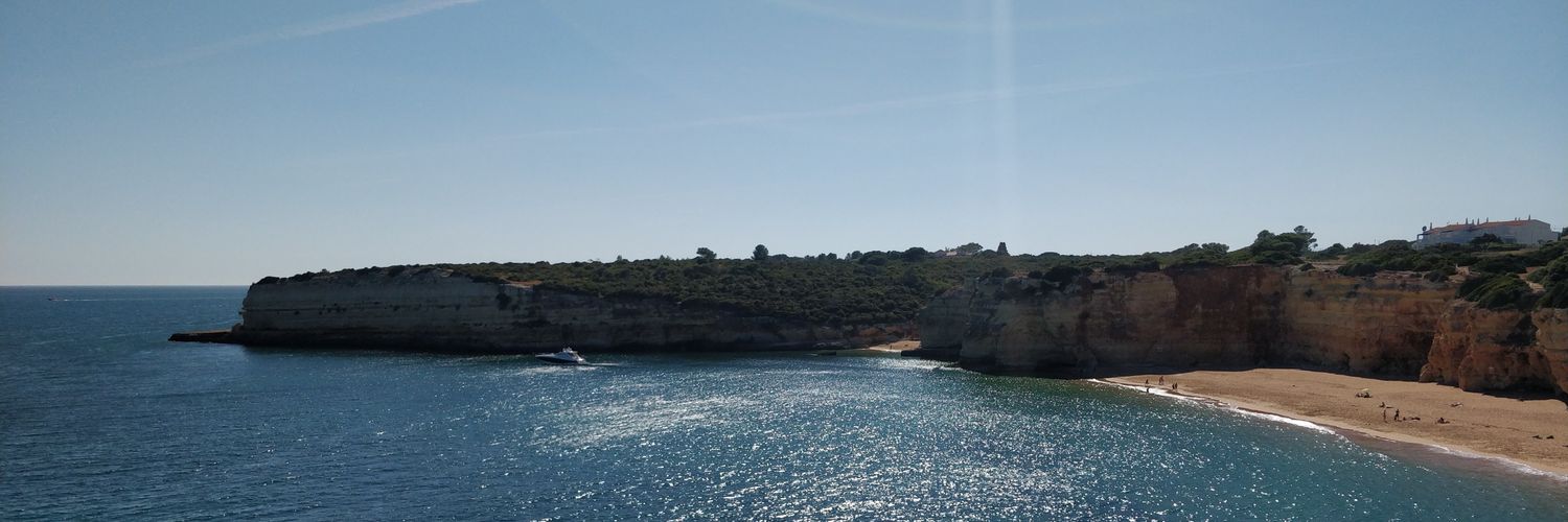 M3TALDetector's profile banner image