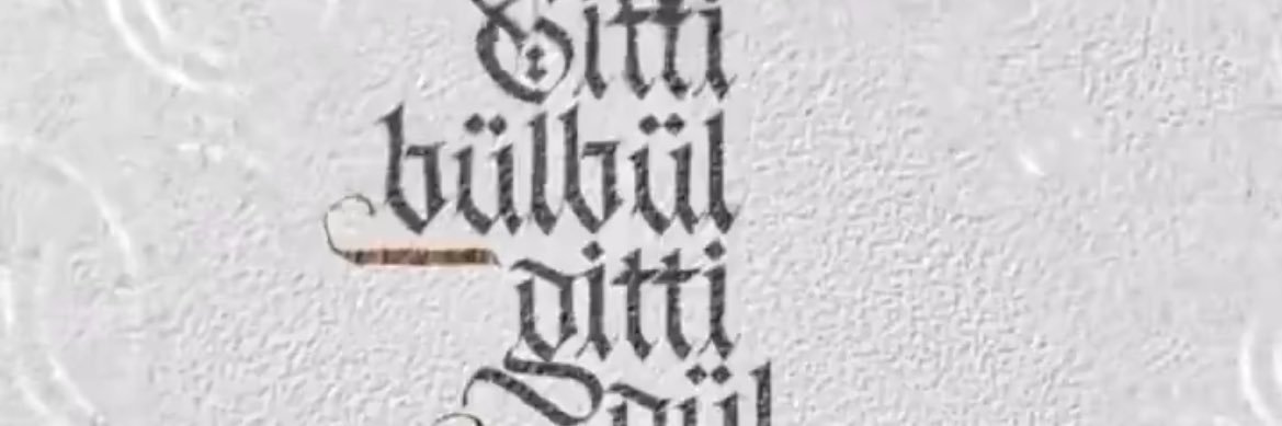 AliBelli8's profile banner image