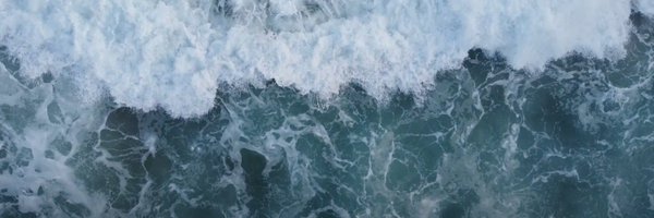 biancasassoon Profile Banner