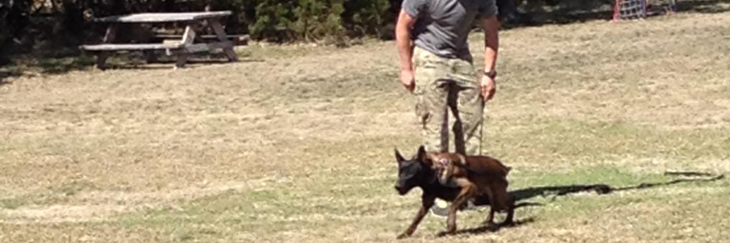K9Kayro's profile banner image