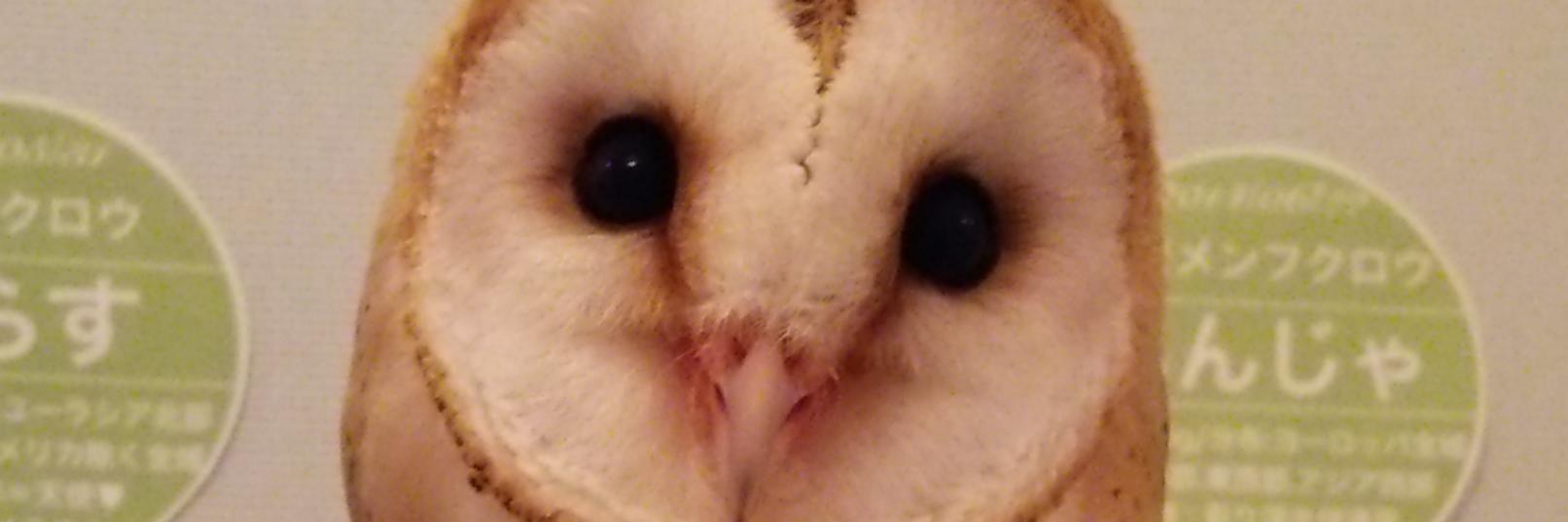 hydekeikei's profile banner image