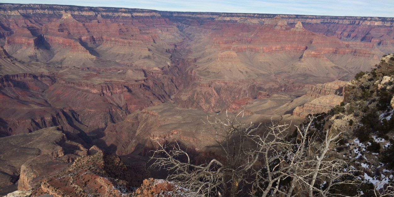 Beak Body Beak banner