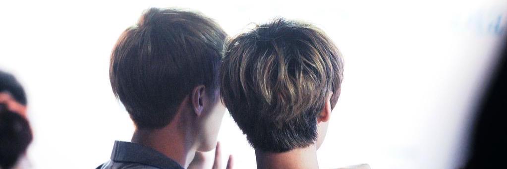 S. banner