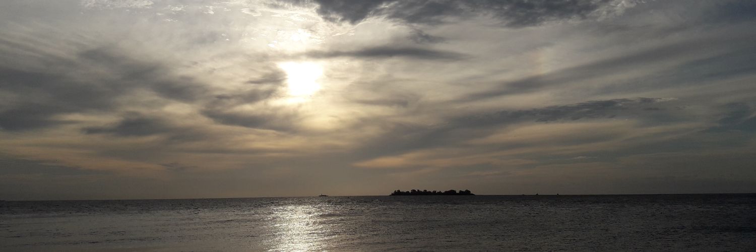 lausimelli's profile banner image
