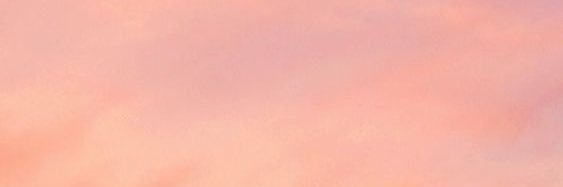 lucy banner