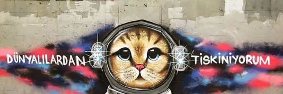 kendismim's profile banner image