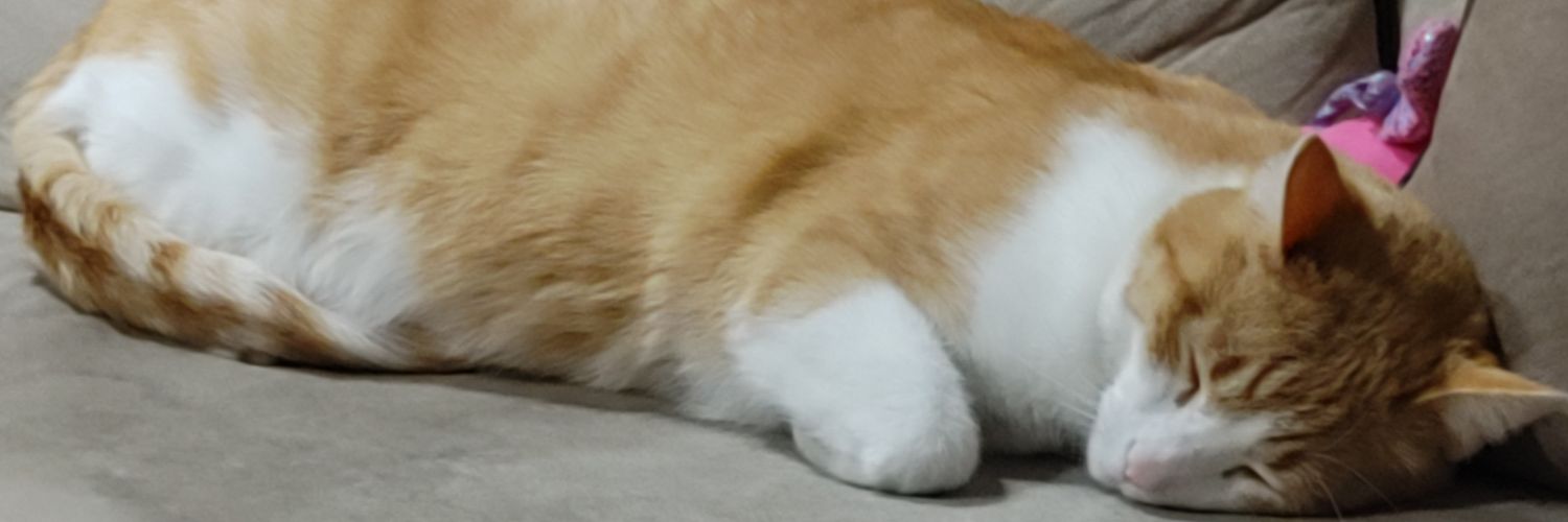 NaomiMBC's profile banner image