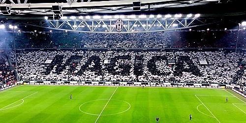 EAGraziano's profile banner image