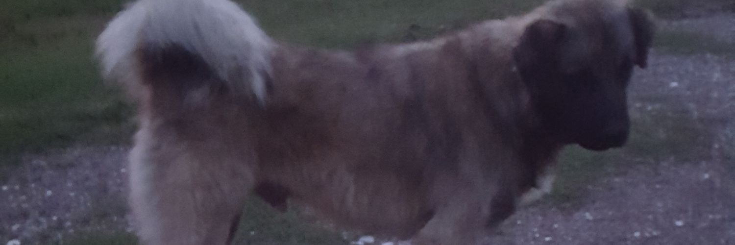 ESMAHiTiT's profile banner image