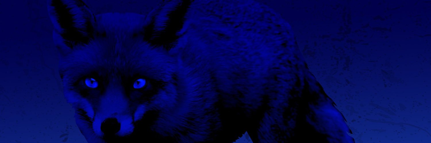 mattybcoolio's profile banner image